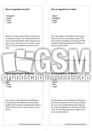 Quiz-Karten-Tiernamen 27.pdf